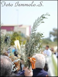 domenica_palme