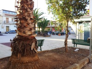 piazzamarchese (6)