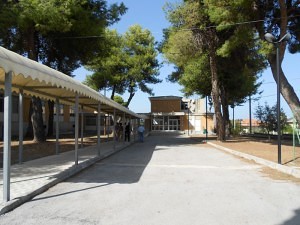 Scuola Pineta