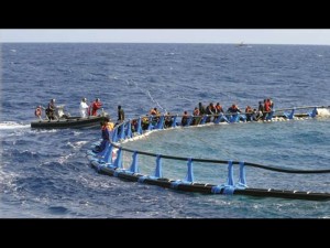 immigrazione-profughi-soccorsi-7-morti_ef11a742-d6a5-11e2-9e83-dd9c91fe7c0b_display