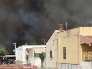 1004800_10200968535168651_1966177427_n