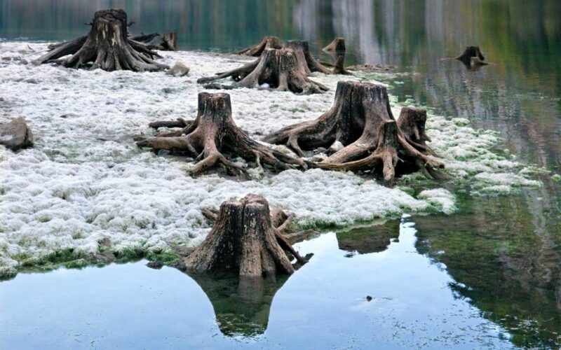 Noto: “Nel silenzio”, mostra fotografica di Pina Inferrera