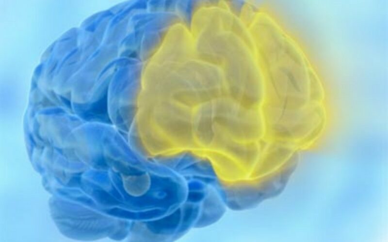 Scoperto nel cervello interruttore dell’invecchiamento