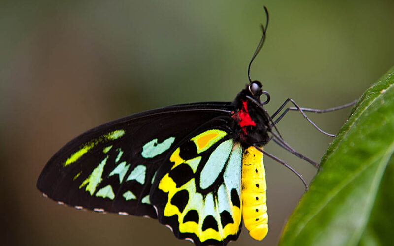 NATURA: ALLA RICERCA DELLA BIODIVERSITÀ