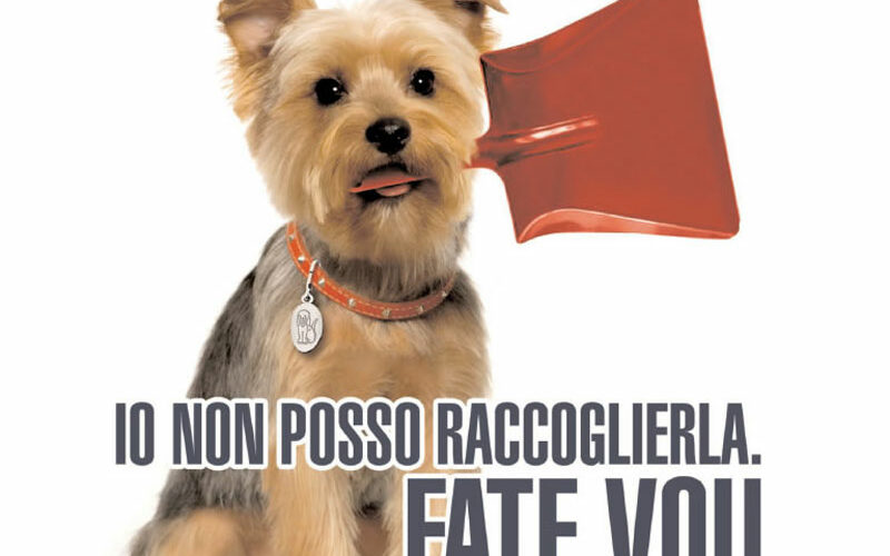 SIRACUSA: ESCREMENTI DI CANI IN CITTA’, COSI’ DARIO TOTA