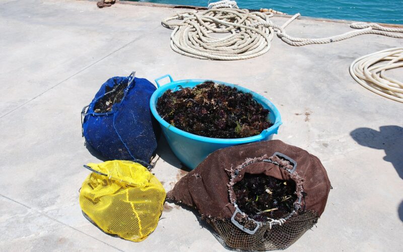 SIRACUSA – UNA DENUNCIA E UNA SANZIONE DA PARTE DELLA POLIZIA