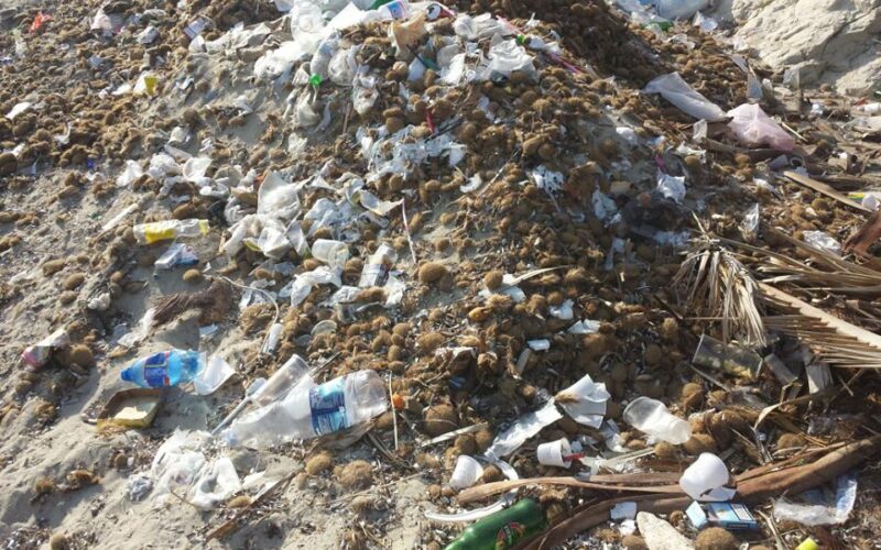 Tu reporter – Fontane Bianche e le attrazioni turistiche