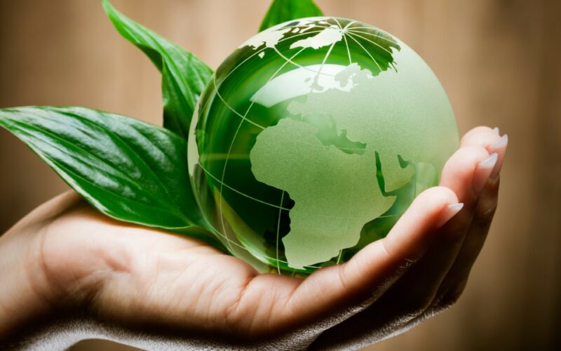 Cassibile: raccolta differenziata, un nostro lettore risolverebbe il problema così…