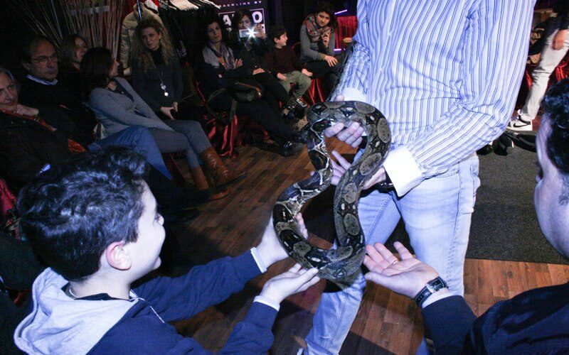 I maestri del Circo Acquatico spiegano cos’è una “vita da circense”