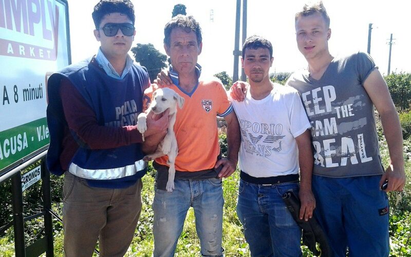 Siracusa, polizia municipale salva tre cuccioli nell’alveo del canale Grimaldi