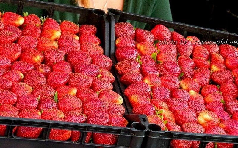 Una fragola…per stare insieme a Cassibile