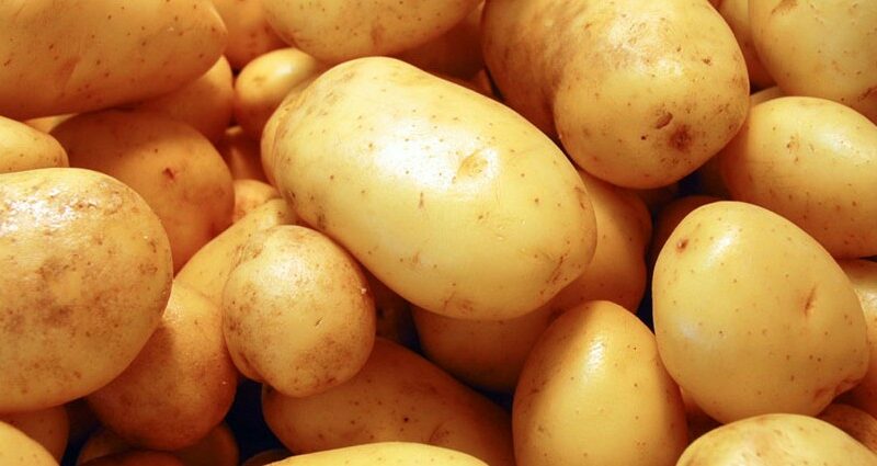 Sorpreso mentre rubava due quintali di patate, denunciato