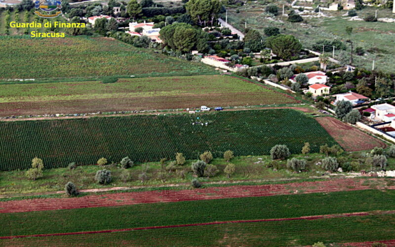 Lotta al “caporalato”, controlli Finanza anche nelle campagne di Cassibile