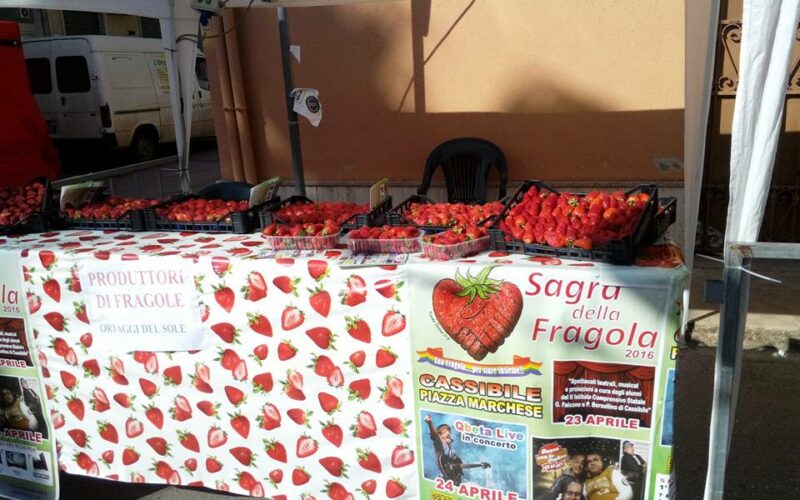 E’ cominciata a Cassibile la Sagra della Fragola