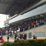 Ippica, grande pubblico rapito dallo spettacolare mix di fragole e galoppo