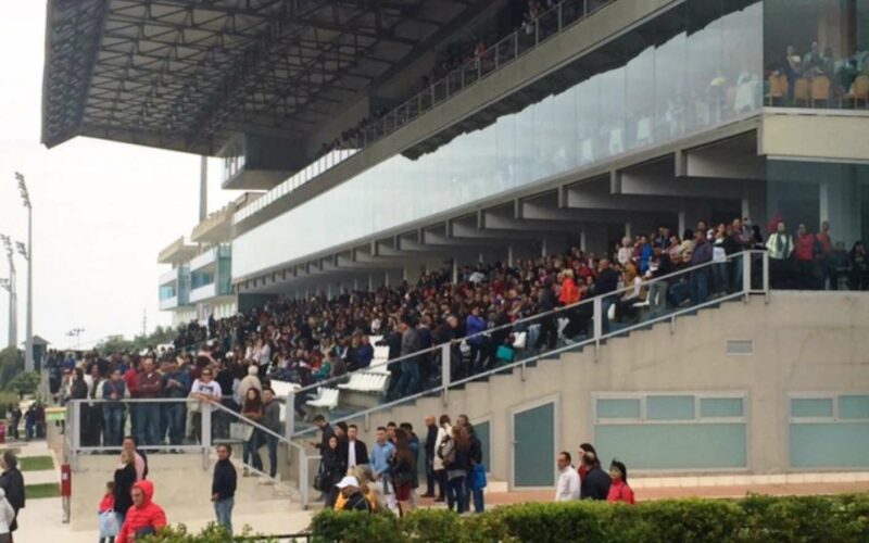 Ippica, grande pubblico rapito dallo spettacolare mix di fragole e galoppo