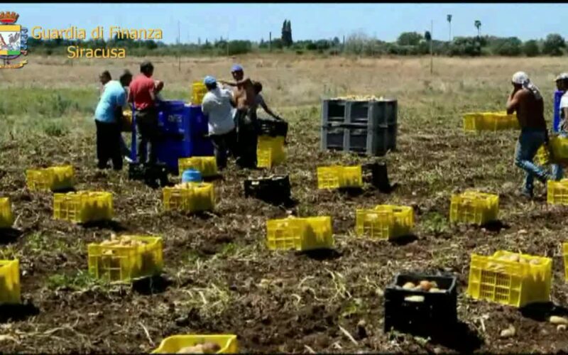 Caporalato a Cassibile, azienda agricola sfruttava gli immigrati