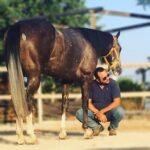 Gimkana Western, Claudio Renda convocato alla Fiera Cavalli di Verona