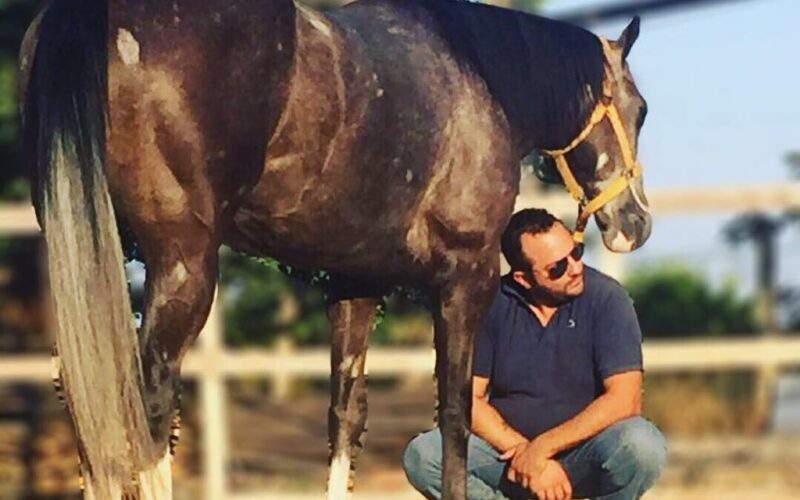 Gimkana Western, Claudio Renda convocato alla Fiera Cavalli di Verona