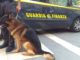 Siracusa, finanzieri con cane antidroga in azione, arrestato 1 pusher