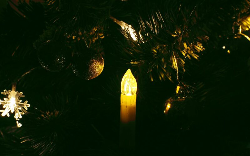 Alberi di Natale sicuri, come evitare l’incendio i consigli dei vigili del fuoco