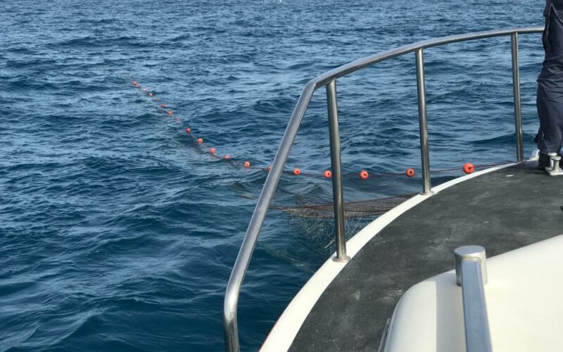 Rete da posta non segnalata in Area Marina Protetta