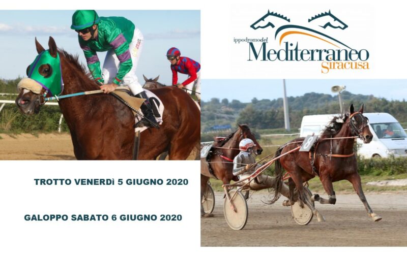 Ippica, si ritorna in pista all’Ippodromo del Mediterraneo