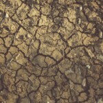 Crisi idrica a Caltanissetta: Regione invia otto autobotti