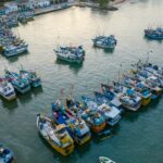 Sicilia, 3 milioni per acquacoltura sostenibile: ecco i bandi
