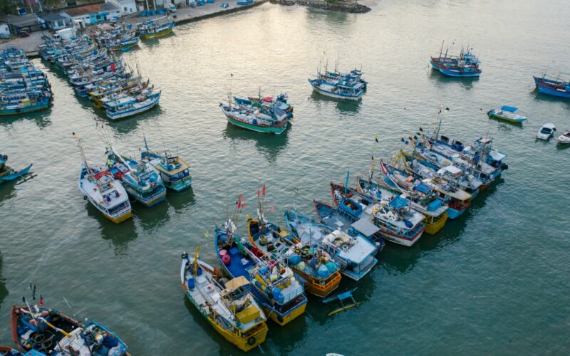 Sicilia, 3 milioni per acquacoltura sostenibile: ecco i bandi