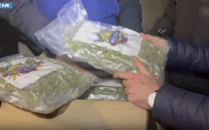 Operazione antidroga: sequestrati 250 kg di marijuana [Audio Video]