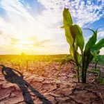 La Sicilia respinge la proposta Webuild per i dissalatori