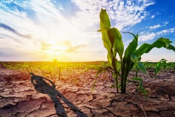 La Sicilia respinge la proposta Webuild per i dissalatori