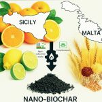 Messina, al via Biobiowa: biochar dagli scarti agricoli