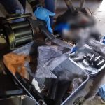 Blitz antimafia a Catania: 38 arresti nel clan Santapaola