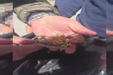 Recuperata borsa con oro rubato grazie a indagine mirata