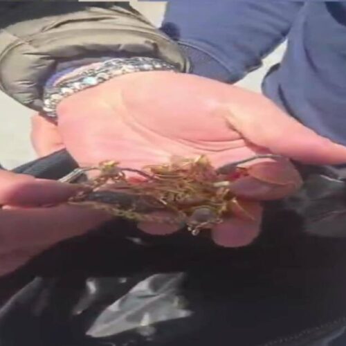 Recuperata borsa con oro rubato grazie a indagine mirata