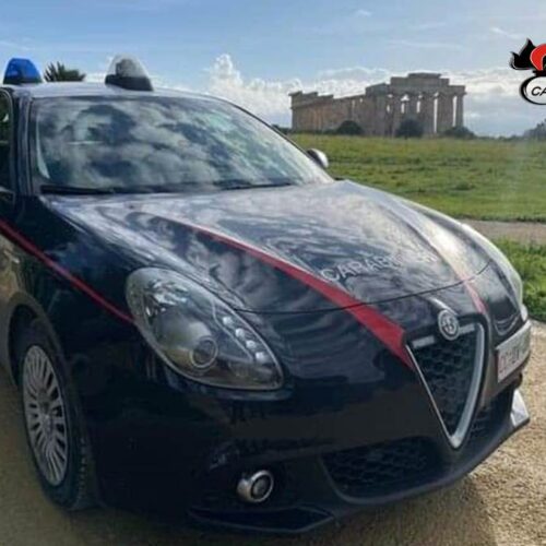 Stop a corse clandestine, 5 indagati per maltrattamenti